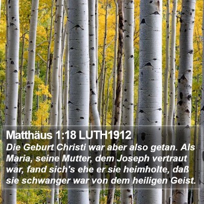 Matthäus 1:18 LUTH1912 Bible Verse Image