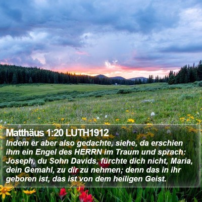 Matthäus 1:20 LUTH1912 Bible Verse Image