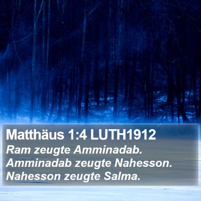 Matthäus 1:4 LUTH1912 Bible Verse Image