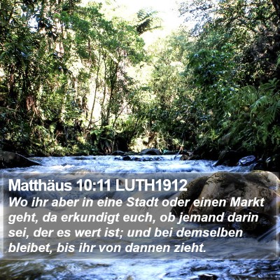 Matthäus 10:11 LUTH1912 Bible Verse Image