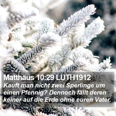 Matthäus 10:29 LUTH1912 Bible Verse Image