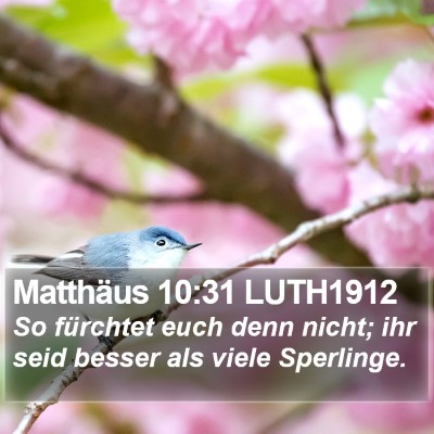Matthäus 10:31 LUTH1912 Bible Verse Image