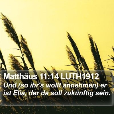 Matthäus 11:14 LUTH1912 Bible Verse Image