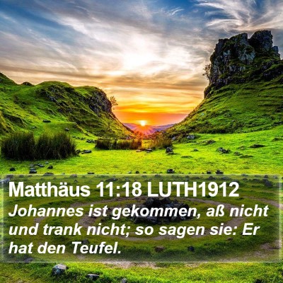 Matthäus 11:18 LUTH1912 Bible Verse Image