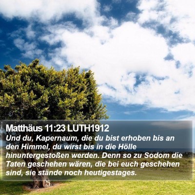 Matthäus 11:23 LUTH1912 Bible Verse Image