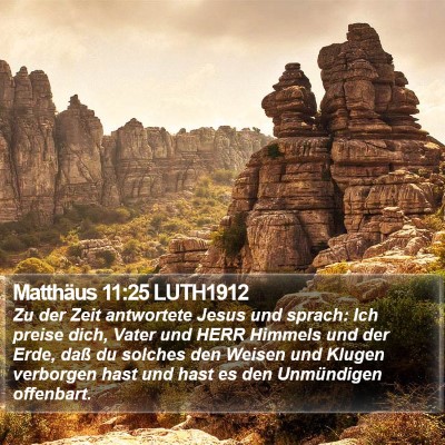 Matthäus 11:25 LUTH1912 Bible Verse Image
