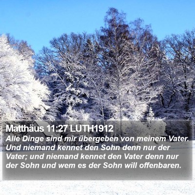 Matthäus 11:27 LUTH1912 Bible Verse Image