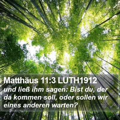 Matthäus 11:3 LUTH1912 Bible Verse Image