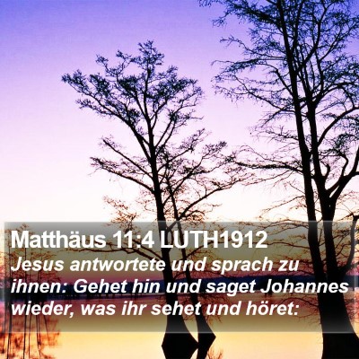 Matthäus 11:4 LUTH1912 Bible Verse Image
