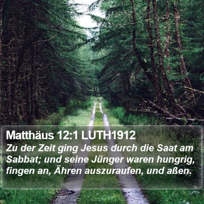 Matthäus 12:1 LUTH1912 Bible Verse Image