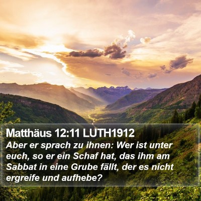 Matthäus 12:11 LUTH1912 Bible Verse Image
