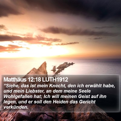 Matthäus 12:18 LUTH1912 Bible Verse Image
