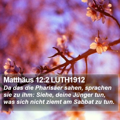 Matthäus 12:2 LUTH1912 Bible Verse Image