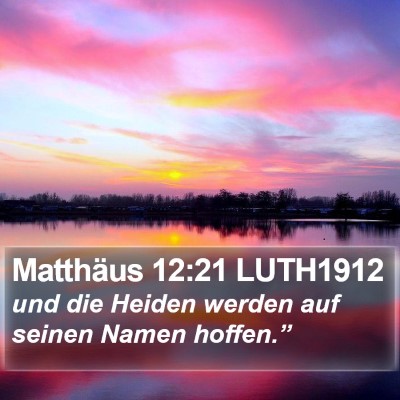 Matthäus 12:21 LUTH1912 Bible Verse Image