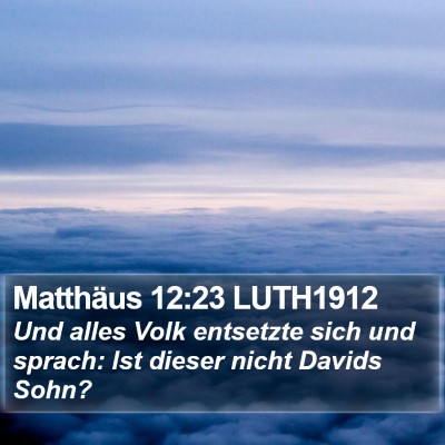 Matthäus 12:23 LUTH1912 Bible Verse Image