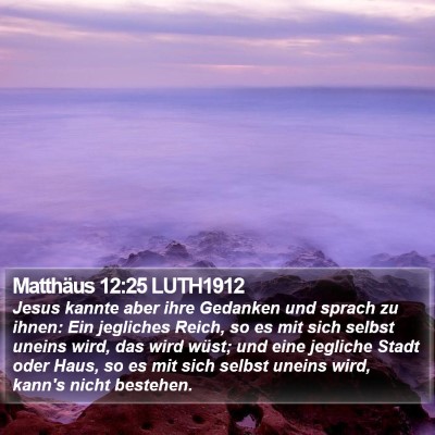 Matthäus 12:25 LUTH1912 Bible Verse Image
