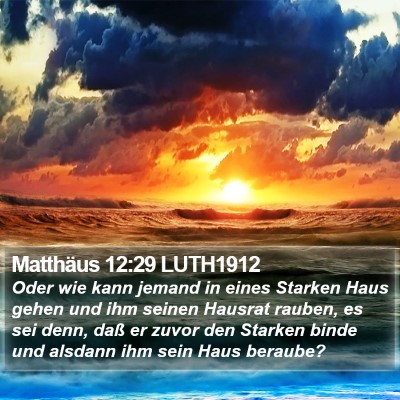 Matthäus 12:29 LUTH1912 Bible Verse Image