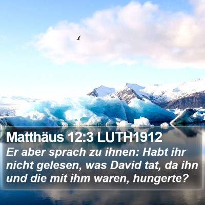 Matthäus 12:3 LUTH1912 Bible Verse Image
