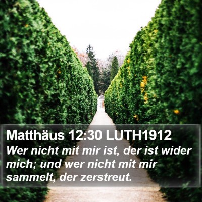 Matthäus 12:30 LUTH1912 Bible Verse Image