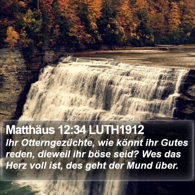 Matthäus 12:34 LUTH1912 Bible Verse Image