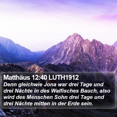 Matthäus 12:40 LUTH1912 Bible Verse Image