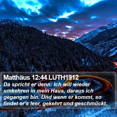 Matthäus 12:44 LUTH1912 Bible Verse Image