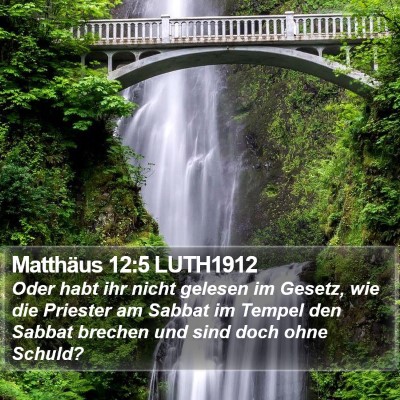 Matthäus 12:5 LUTH1912 Bible Verse Image