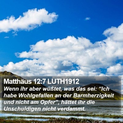 Matthäus 12:7 LUTH1912 Bible Verse Image