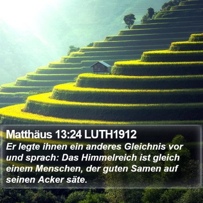 Matthäus 13:24 LUTH1912 Bible Verse Image