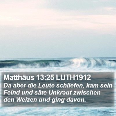 Matthäus 13:25 LUTH1912 Bible Verse Image