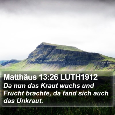 Matthäus 13:26 LUTH1912 Bible Verse Image