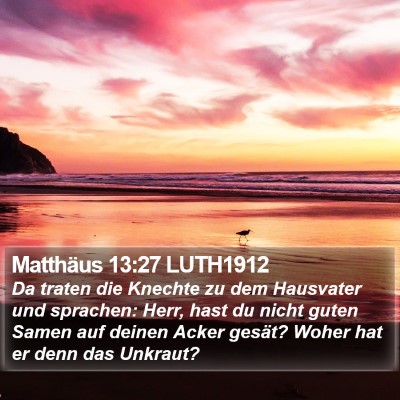 Matthäus 13:27 LUTH1912 Bible Verse Image