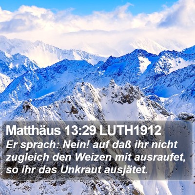 Matthäus 13:29 LUTH1912 Bible Verse Image