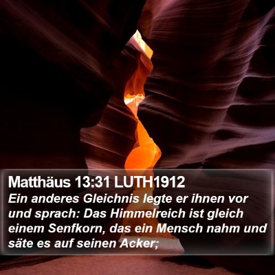 Matthäus 13:31 LUTH1912 Bible Verse Image