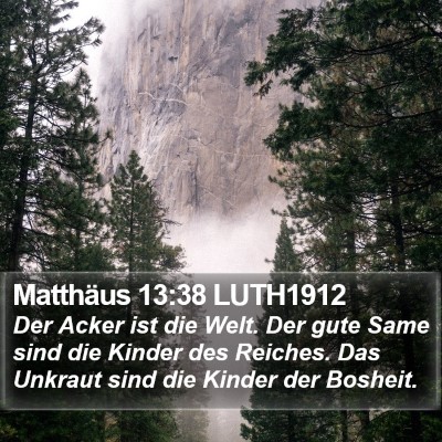 Matthäus 13:38 LUTH1912 Bible Verse Image