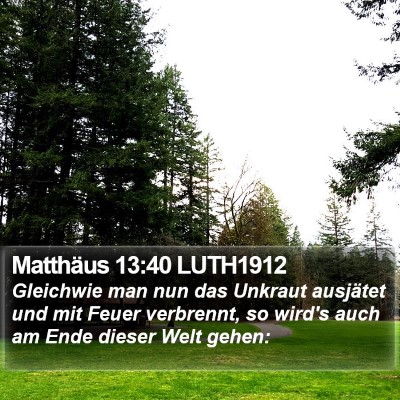 Matthäus 13:40 LUTH1912 Bible Verse Image