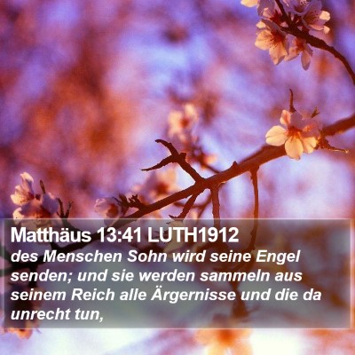 Matthäus 13:41 LUTH1912 Bible Verse Image