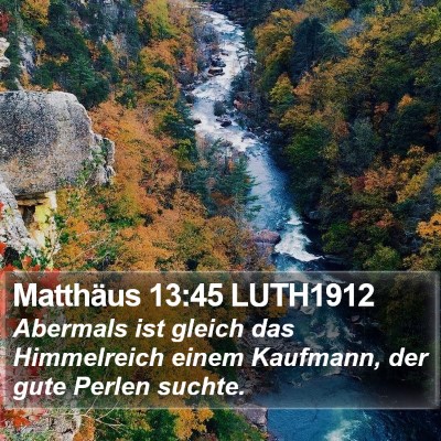 Matthäus 13:45 LUTH1912 Bible Verse Image