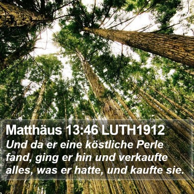 Matthäus 13:46 LUTH1912 Bible Verse Image