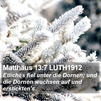 Matthäus 13:7 LUTH1912 Bible Verse Image