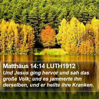 Matthäus 14:14 LUTH1912 Bible Verse Image