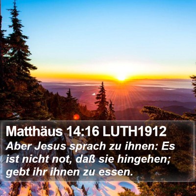 Matthäus 14:16 LUTH1912 Bible Verse Image