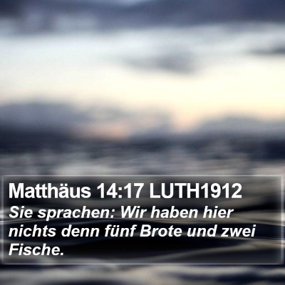 Matthäus 14:17 LUTH1912 Bible Verse Image