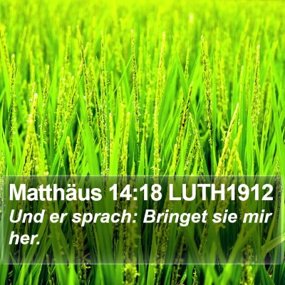 Matthäus 14:18 LUTH1912 Bible Verse Image