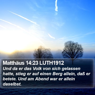 Matthäus 14:23 LUTH1912 Bible Verse Image
