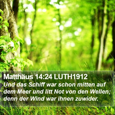 Matthäus 14:24 LUTH1912 Bible Verse Image