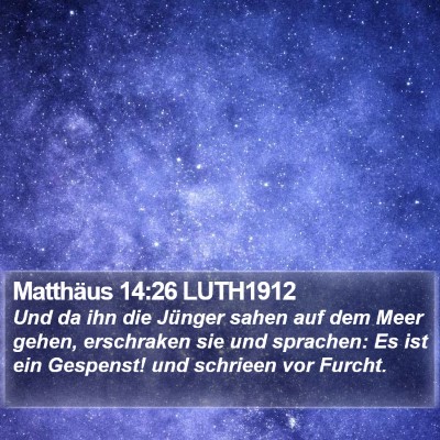 Matthäus 14:26 LUTH1912 Bible Verse Image