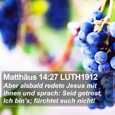 Matthäus 14:27 LUTH1912 Bible Verse Image