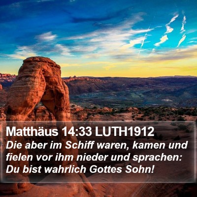 Matthäus 14:33 LUTH1912 Bible Verse Image