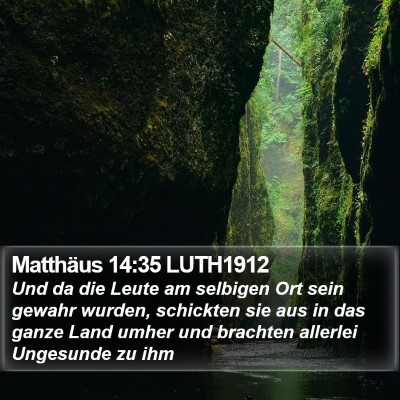 Matthäus 14:35 LUTH1912 Bible Verse Image